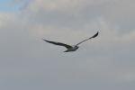 FO5_0734.jpg