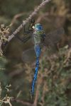 FO5_6519.jpg