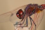 FO5_7536.jpg