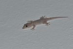 FO5_8273.jpg