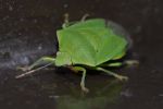 FO5_8279.jpg