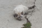 FO5_1243.JPG